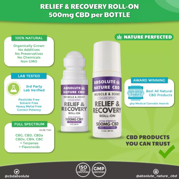 Rapid Recovery CBD Bundle - Image 4