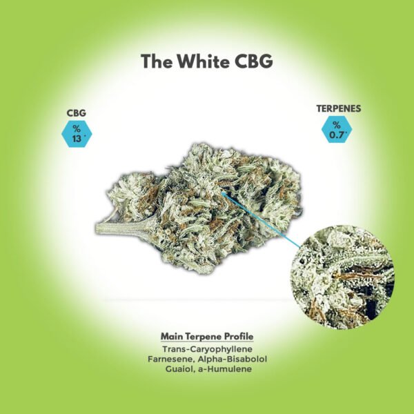 The White CBG Hemp Flower For Sale - Image 5