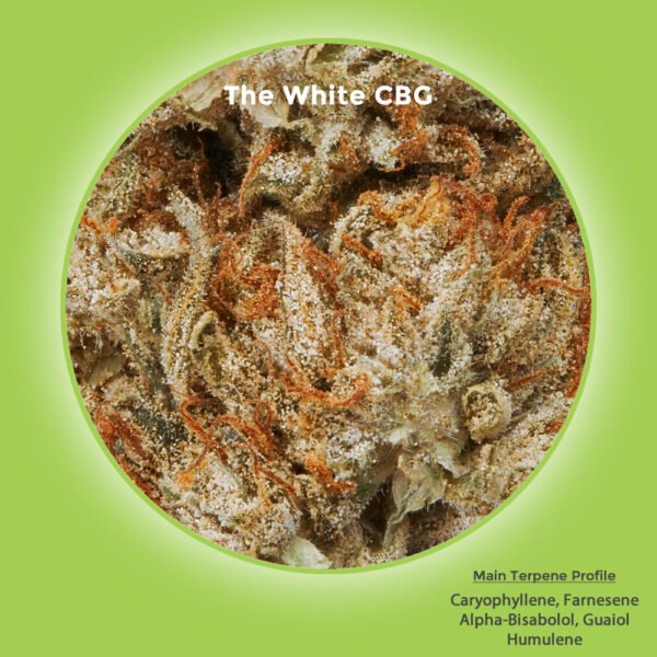 The White CBG Hemp Flower For Sale - Image 2