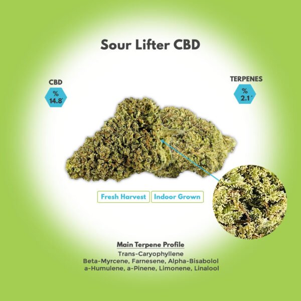 Sour Lifter Hemp Flower For Sale - Image 4