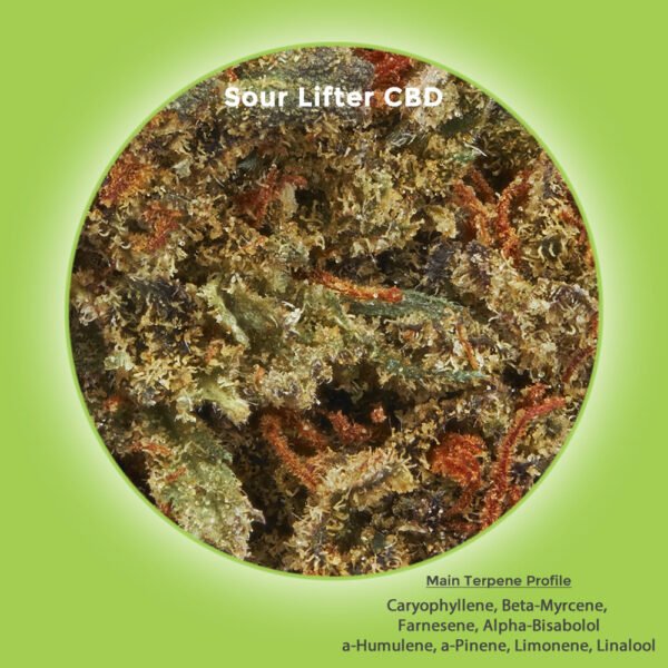 Sour Lifter Hemp Flower For Sale - Image 3