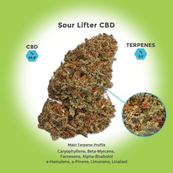 Sour Lifter Hemp Flower For Sale